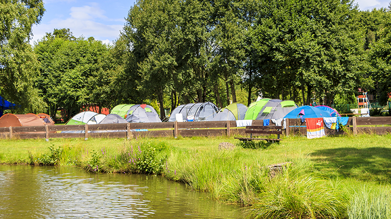 Blick auf den Zeltplatz des Campingpark Hüttensee