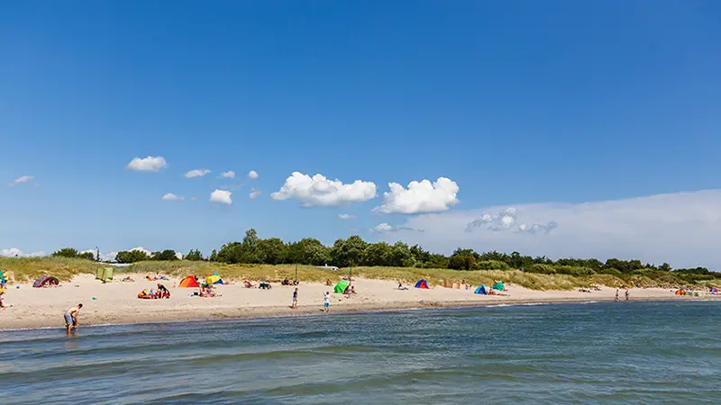 Blick auf den Strand des Campingplatz Insel-Camp Fehmarn