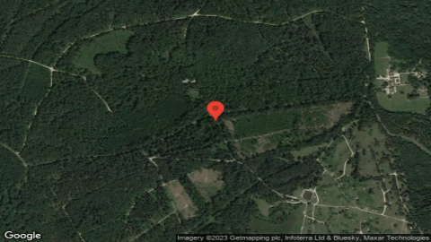 Roundhill Camping in the forest