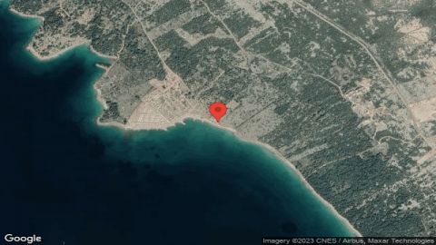 Terra Park Phalaris